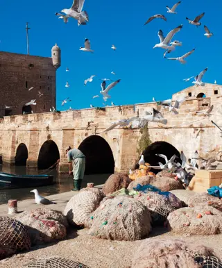 Schlendere durch die Altstadt Essaouira